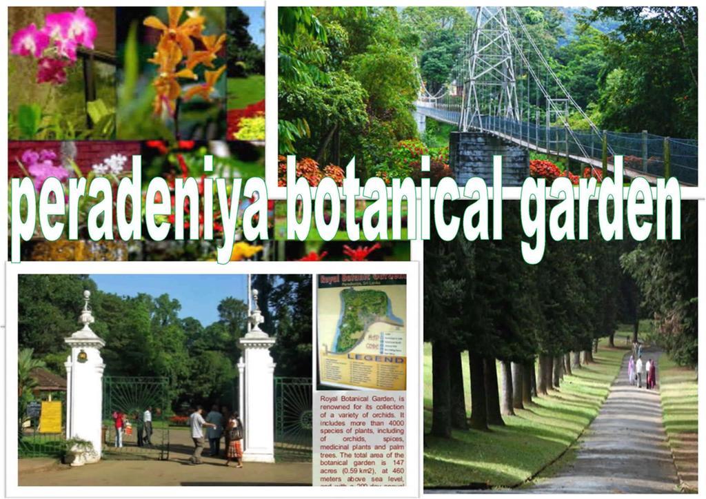 Greenwood Kandy Homestay Exterior foto